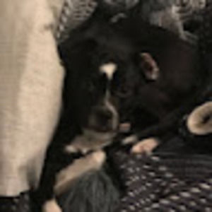 Meet your Posher, Elena